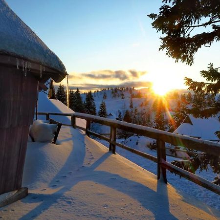 Chalet Resa - Velika Planina Stahovica Екстериор снимка