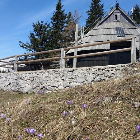 Chalet Resa - Velika Planina Stahovica Екстериор снимка