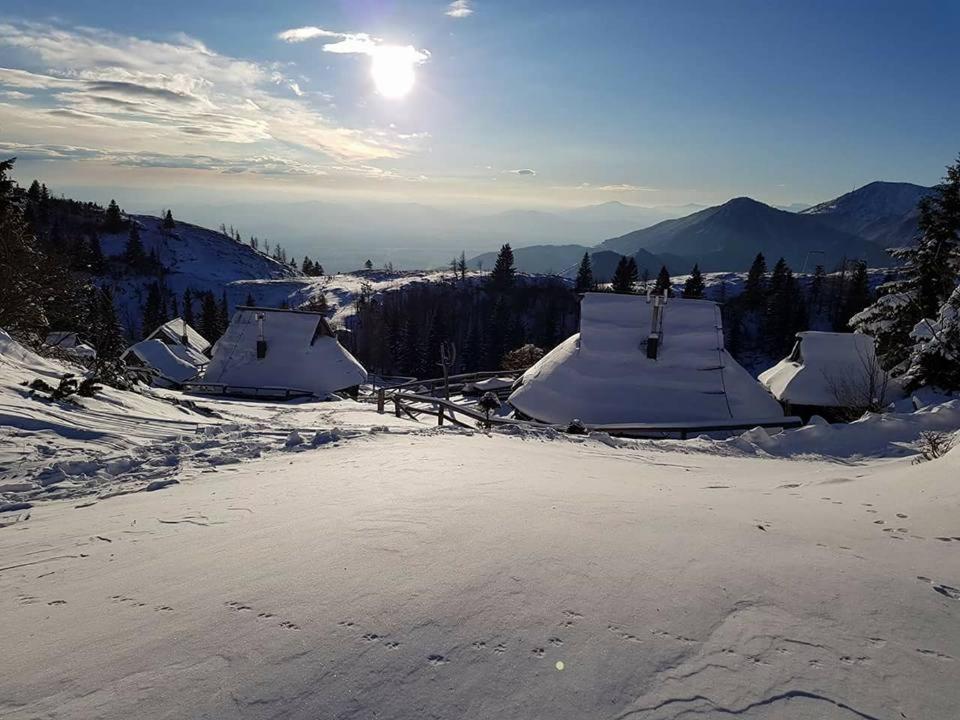 Chalet Resa - Velika Planina Stahovica Екстериор снимка