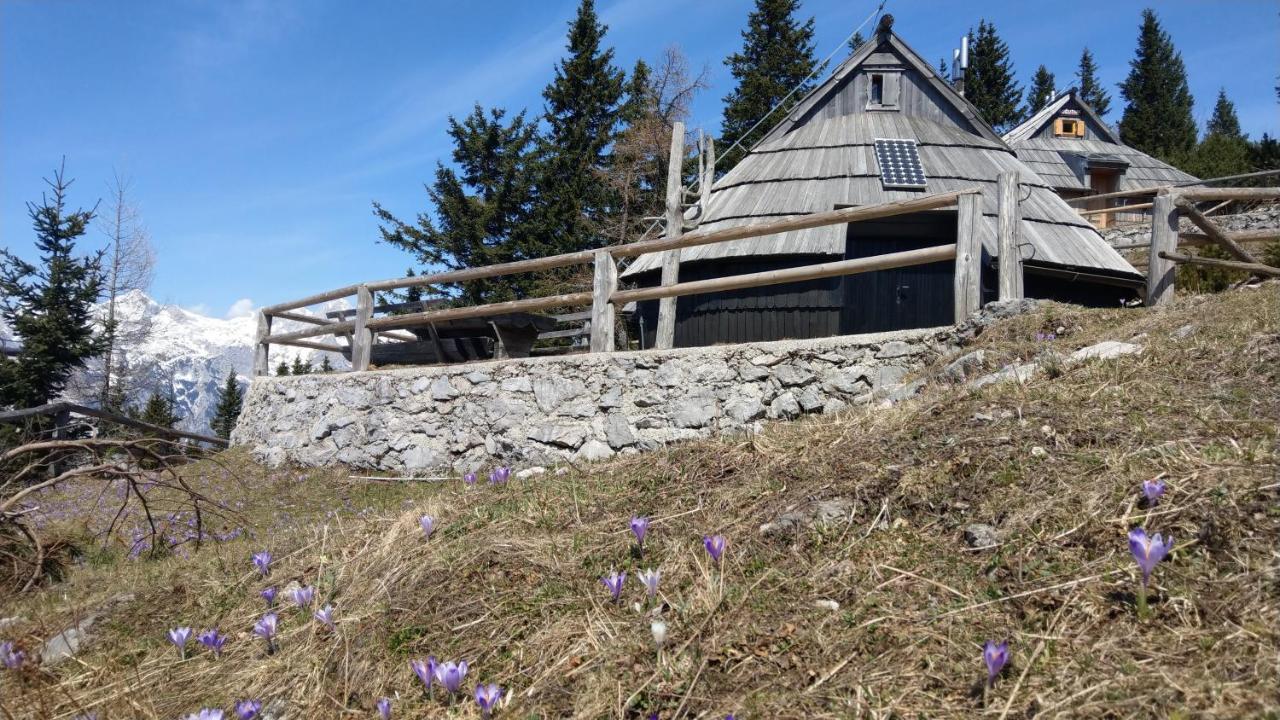 Chalet Resa - Velika Planina Stahovica Екстериор снимка