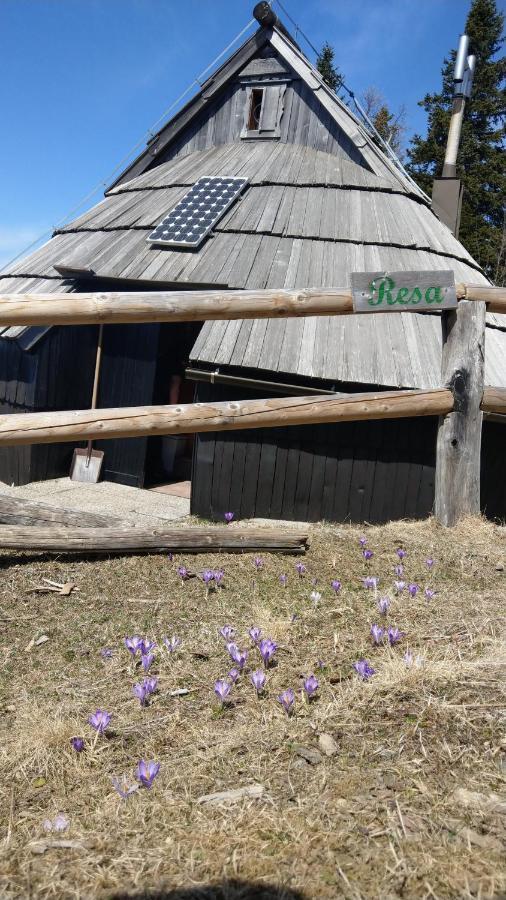 Chalet Resa - Velika Planina Stahovica Екстериор снимка