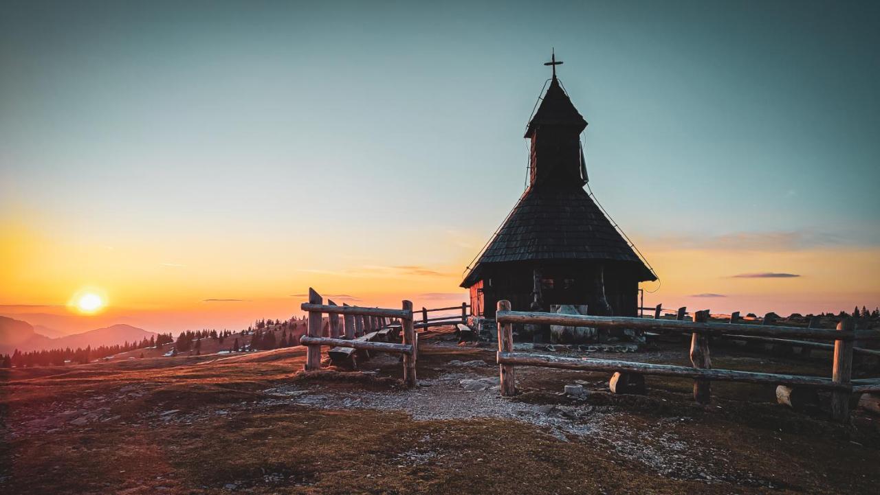 Chalet Resa - Velika Planina Stahovica Екстериор снимка